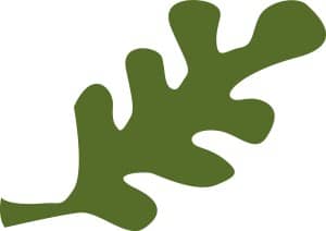 Abstract Green Foliage
