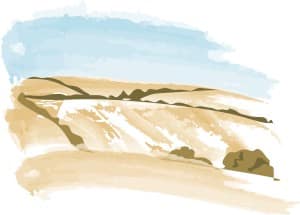 Watercolor Wheat Fields