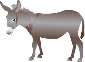 Nativity Donkey