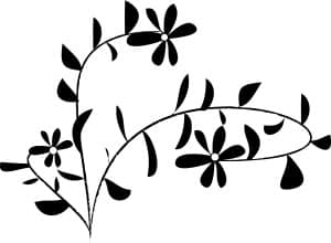 black and white daisy accent