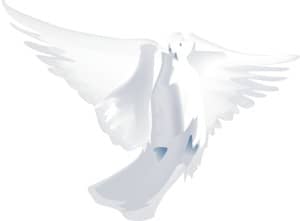 Living Dove