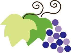 Shaded Purple Grapes and Leaves