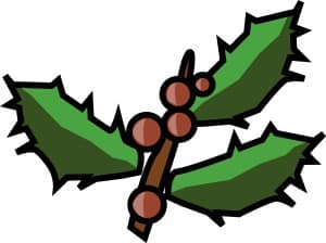 Abstract Holly Berries