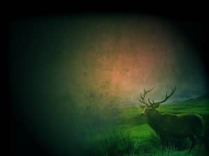 Deer Worship Background