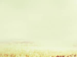 Field Scenery Worship Background