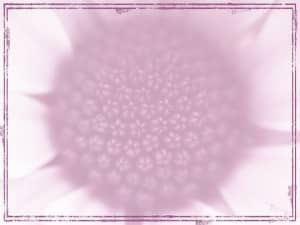 Purple Flower Worship Background