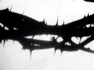 Crown of Thorns with Shadows