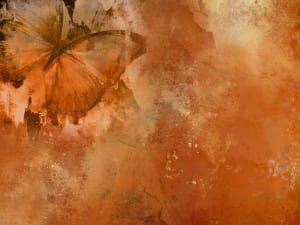 Butterfly Worship Background