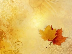 Leaves on Lace Fall Worship Background