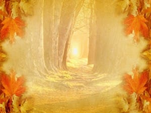 Wooded Path Worship Background