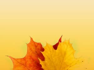 Colors Of Fall Christian Background