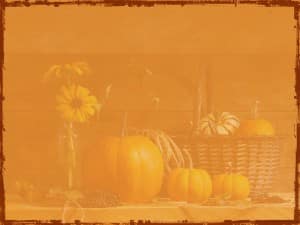 Pumpkin Harvest Background Image