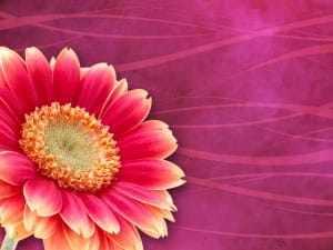 Floral Worship Background