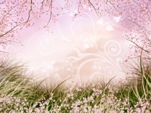 Spring Flowers Worship Background