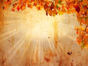 Autumn Leaves Background