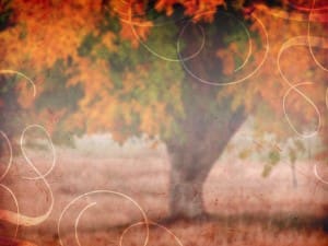 Fall Decor Worship Background