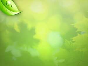 New Life Worship Background