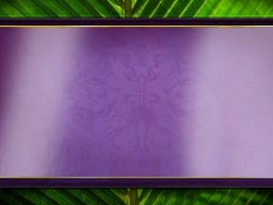 Palm Branches Worship Slide