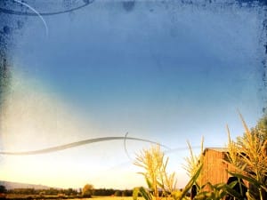 Farm Worship Background