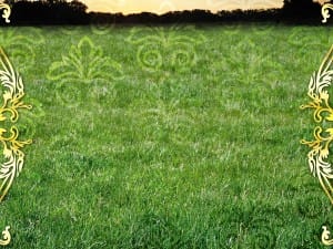 Green Design Background