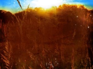 Nature Field Worship Background