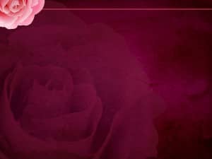 Rose Worship Template