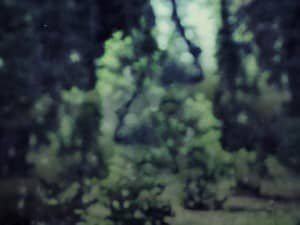 Nature Scene Background