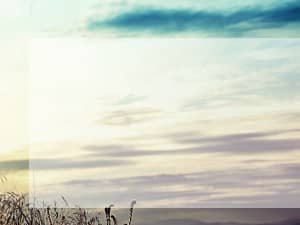 Sunset Picture Worship Background