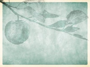 Bearing Fruit Worship Still