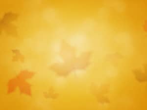Fall Leaf Worship Still