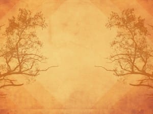 Autumn Tree Symmetry Church Background