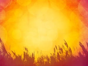 Fiery Autumn Fields Religious Background