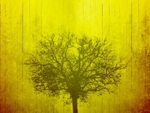 Mysterious Autumn Worship Background