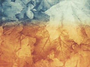 Fall Nature Ministry Background
