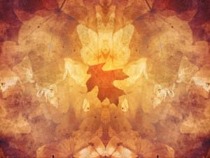 Autumn Symmetry Skewed Leaf Ministry Background
