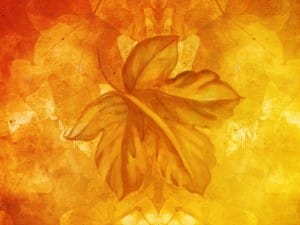 Brilliant Prism Fall Church Still