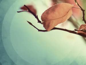 Find Rest My Soul Church Wallpaper