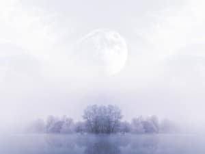 Prince of Peace Christmas Wallpaper