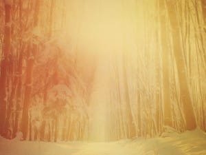 Light of the World Christmas Ministry Background