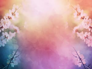 Pink Spring Blossoms Mother's Day Worship Background