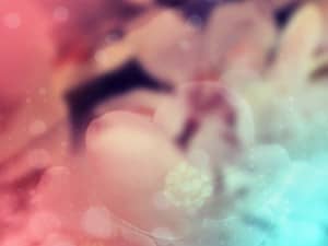 Abstract Color and Shapes Christian Stock Image