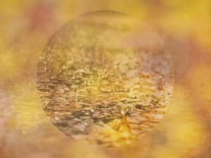 Bright Water Focused Worship Background