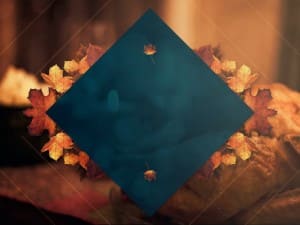 Happy Thanksgiving Glow of Gratitude Worship Still
