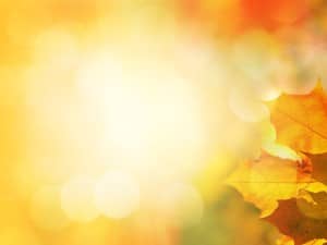 Burst of Harvest Sun Particles Ministry Background