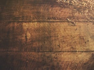 Joy of Harvest Ministry Worship Background