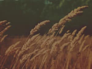 A Generous Heart Religious Worship Background