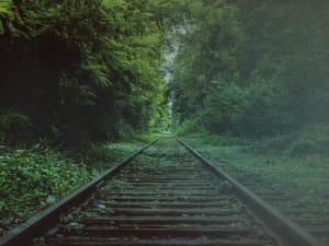 Tracks Through Forest Worship Background