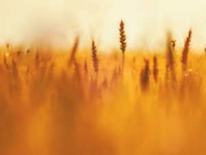 Bless the Lord Christian Worship Background