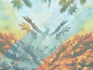 Trust in the Lord Ministry Background