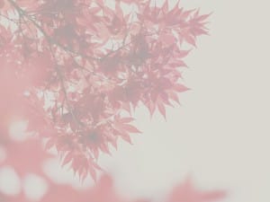Prayer Service Ministry Worship Background